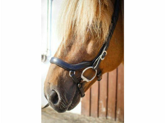 Der anatomische Nasenriemen schwarz bietet Deinem Pferd höchsten Komfort besticht durch herausragende Lederqualität