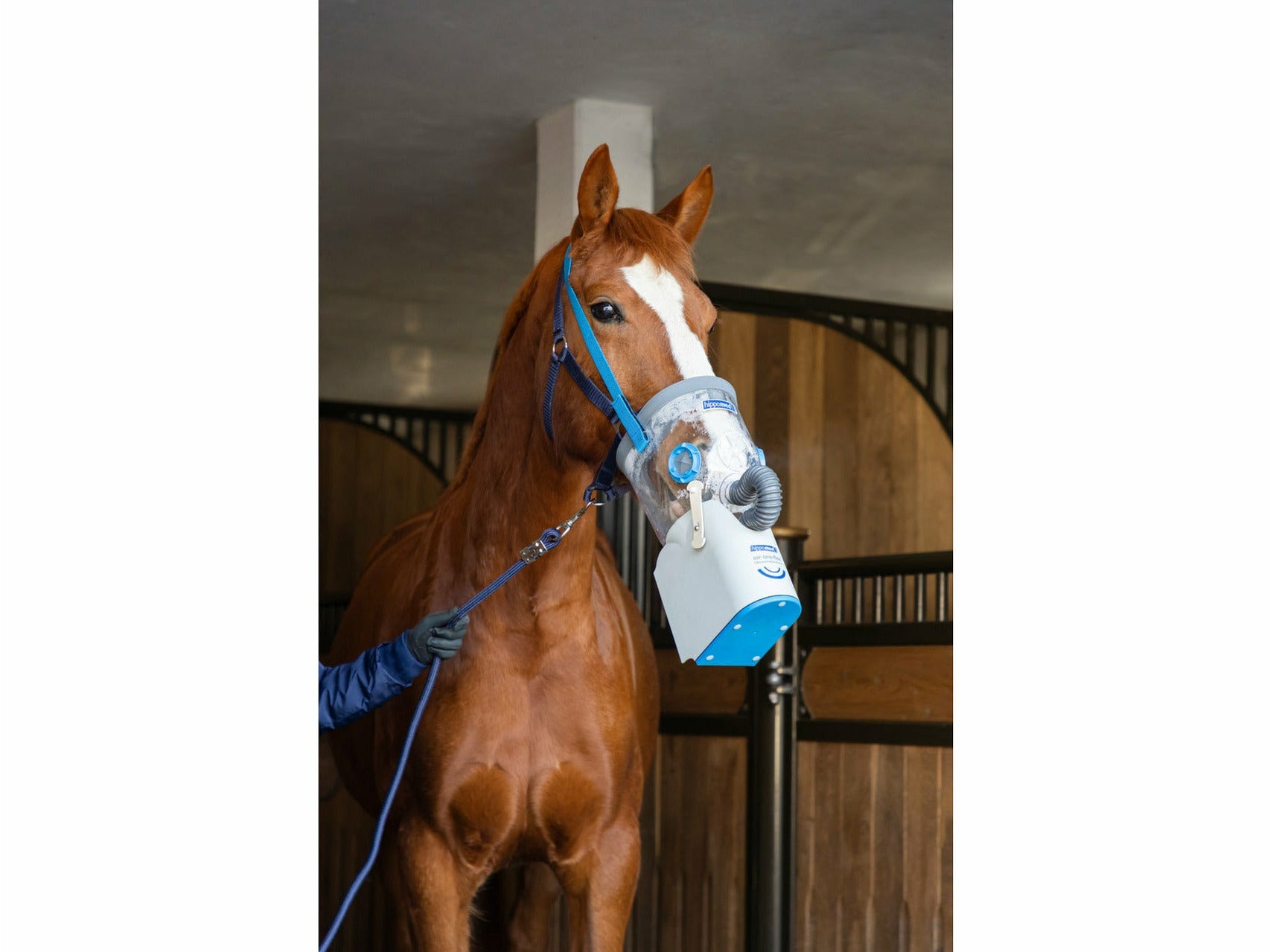 Hippomed Air One Flex Akku-Ultraschall-Inhalator für Pferde