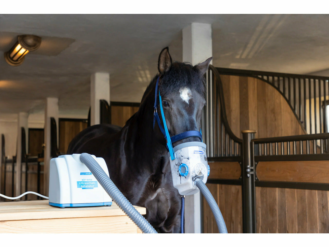 Hippomed Air One ultrasonic inhaler for horses
