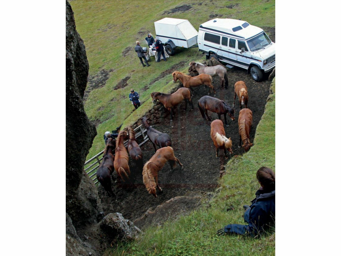 Magische Islandpferde - Eine Liebeserklärung an Pferde, Land und Leute
