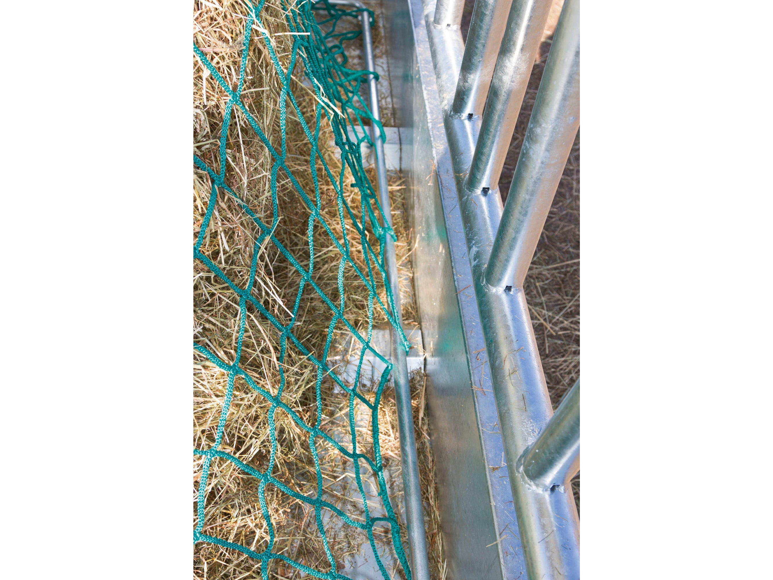 Icelandic Horse frame for feed saving net
