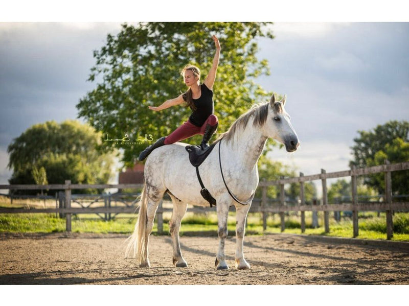ThinLine Reitkissen Comfort