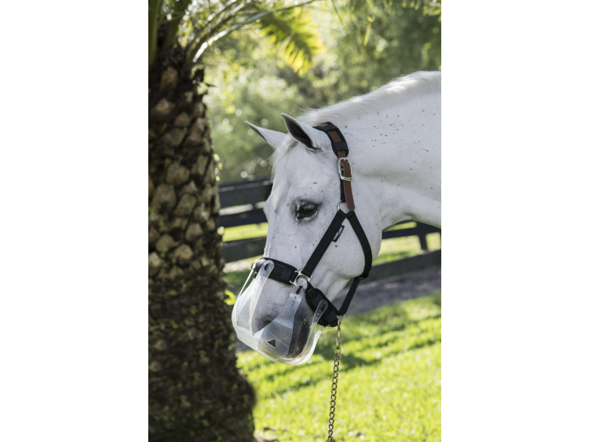ThinLine anti-chafe padding for halters