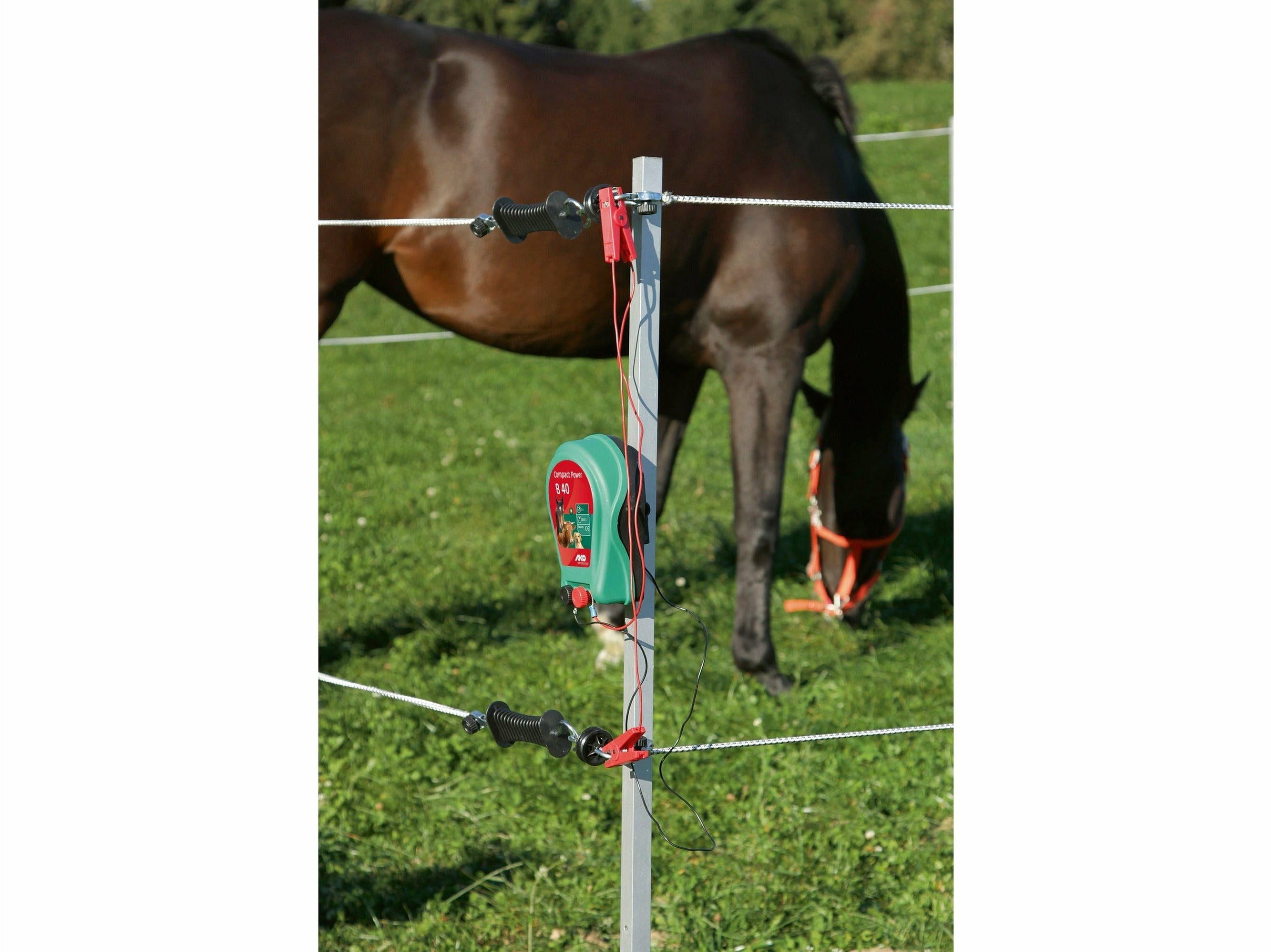Icelandic Horse tournament/paddock set 7 x 7 m, with electric fence device