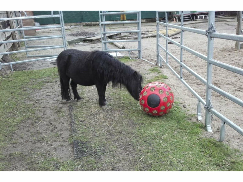 Icelandic Horse Futterball - Heuball