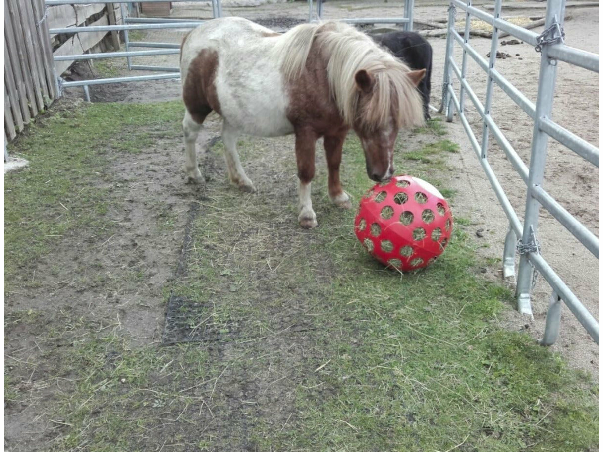 Futterball oder Heuball für Islandpferde Pony Pferdebedarf