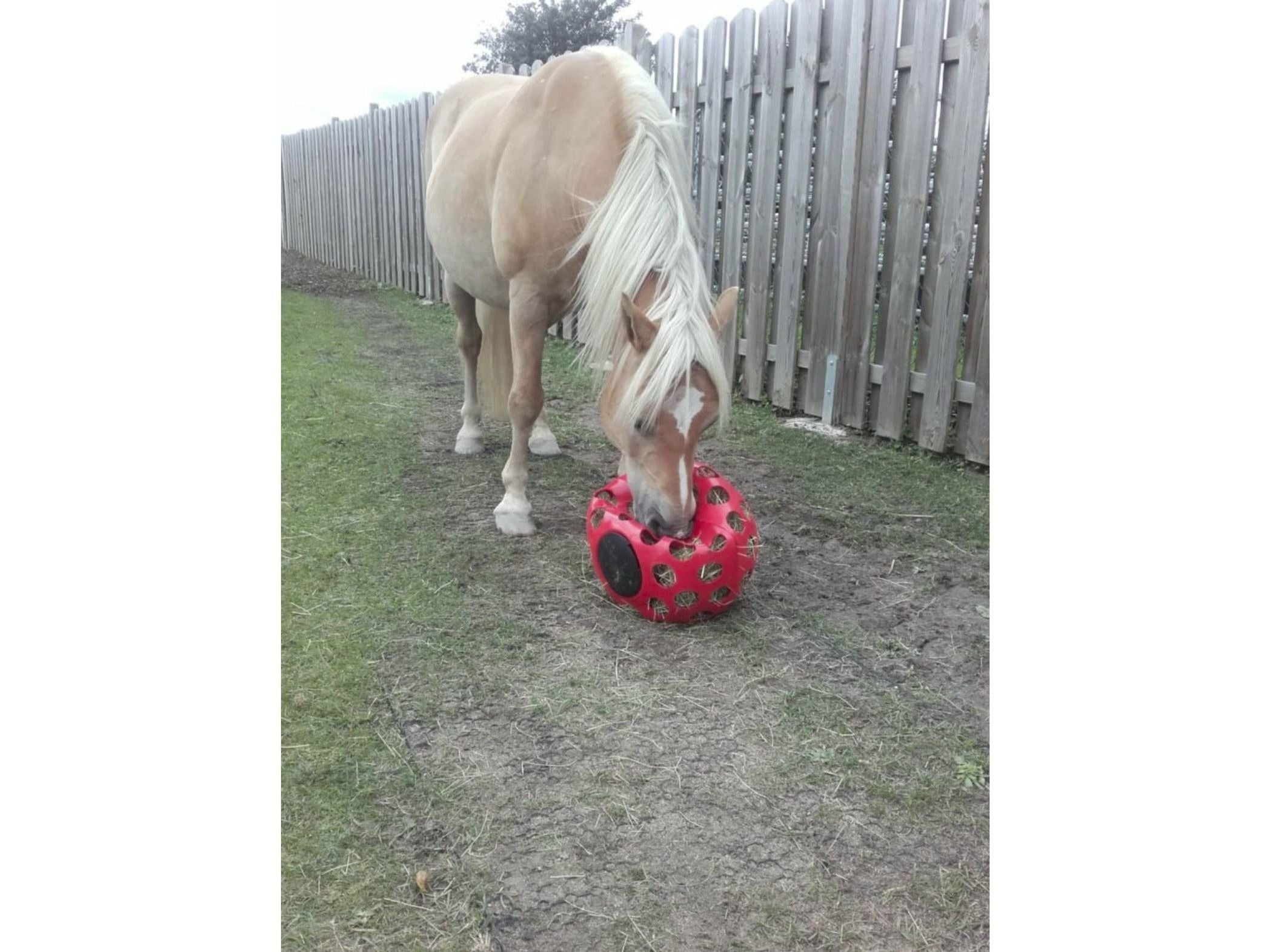 Icelandic Horse feed ball - hay ball