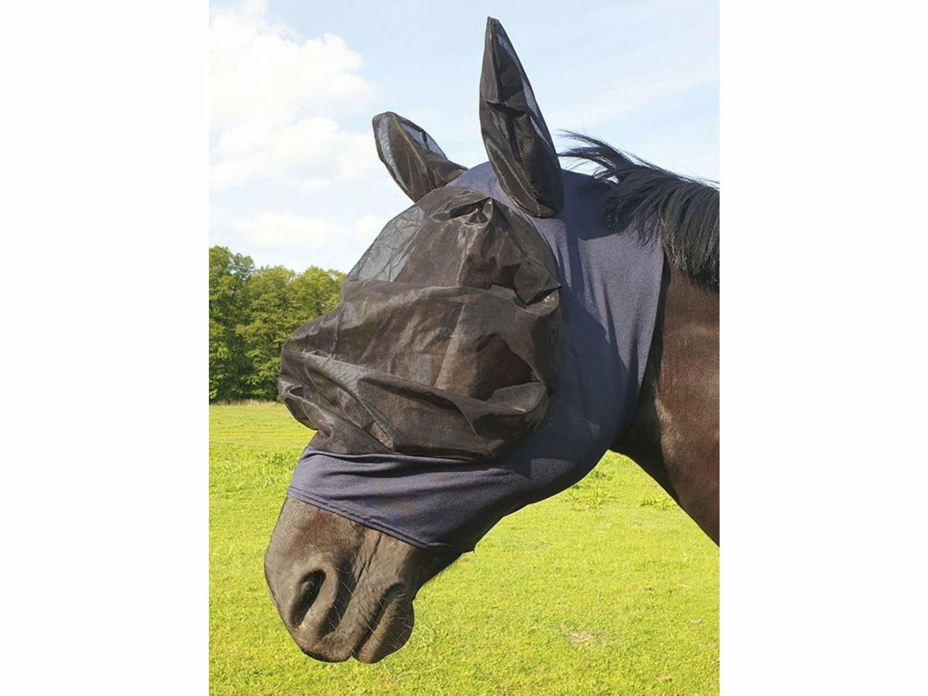 Fliegenschutzmaske für Islandpferde Maske gegen Fliegen Ponys und Pferde