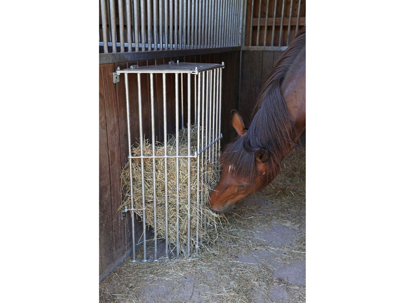 Icelandic Horse Wandraufe SlowFeed Plus