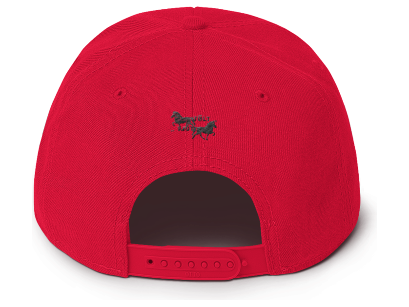 Icelandic Horse Islandpferde Snapback Cap