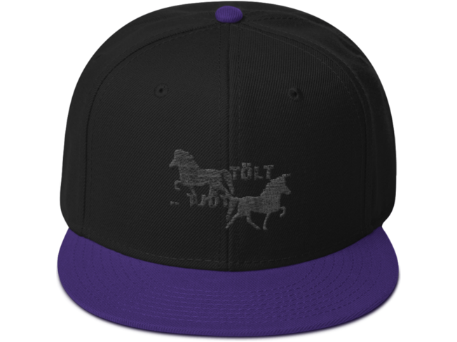 Icelandic Horse Islandpferde Snapback Cap